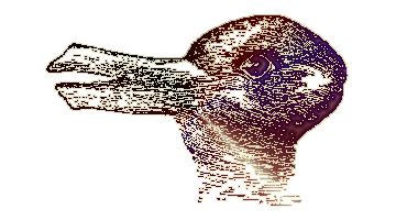 Rabbit / Duck Illusion