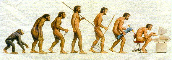 evolution picture